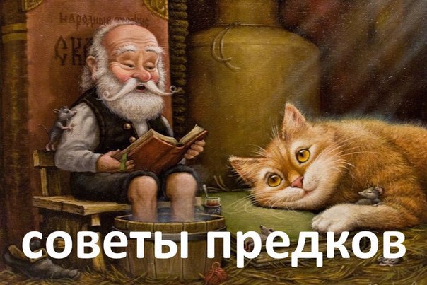 СОВЕТЫ ПРЕДКОВ. 1349.jpeg СОВЕТЫ ПРЕДКОВ. 1349.jpeg