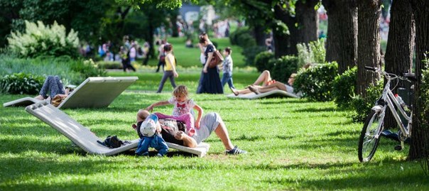 15 отличных мест для пикника в Москве