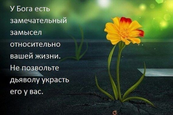 Проповедь на каждый день