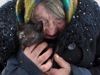 Как помочь бездомному