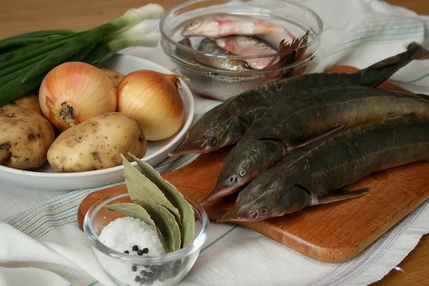 Какую рыбу ловили на Москве-реке?